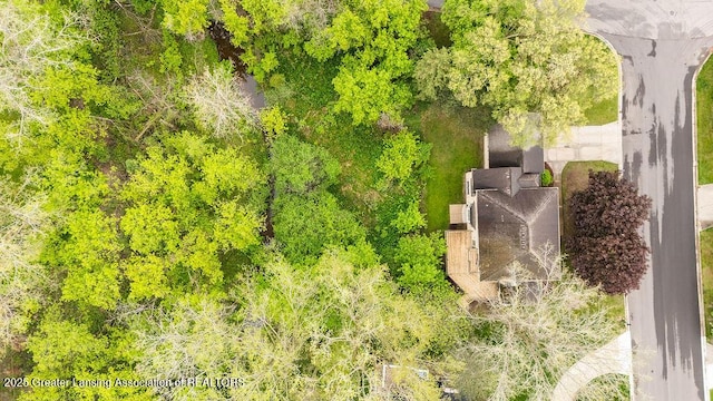 4245 Sandridge Dr, Okemos, MI 48864 - drone / aerial view