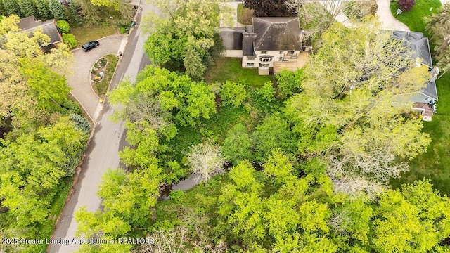 4245 Sandridge Dr, Okemos, MI 48864 - drone / aerial view