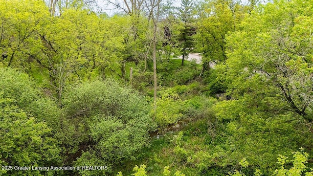 4245 Sandridge Dr, Okemos, MI 48864 - view of woods