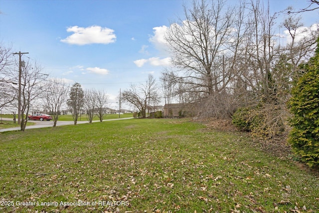 15385 Temple Dr, Bath, MI 48808