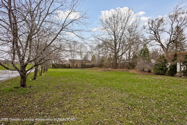 15385 Temple Dr, Bath, MI 48808