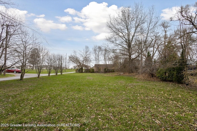15385 Temple Dr, Bath, MI 48808