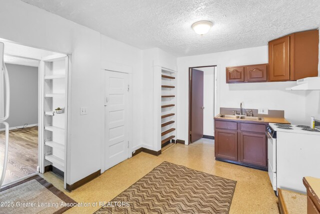 922 Dakin St, Lansing, MI 48912 - kitchen with electric range, a sink, a textured ceiling, range hood, and light countertops