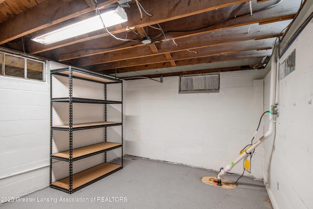 2119 Grant St, Lansing, MI 48910 - unfinished basement featuring concrete block wall
