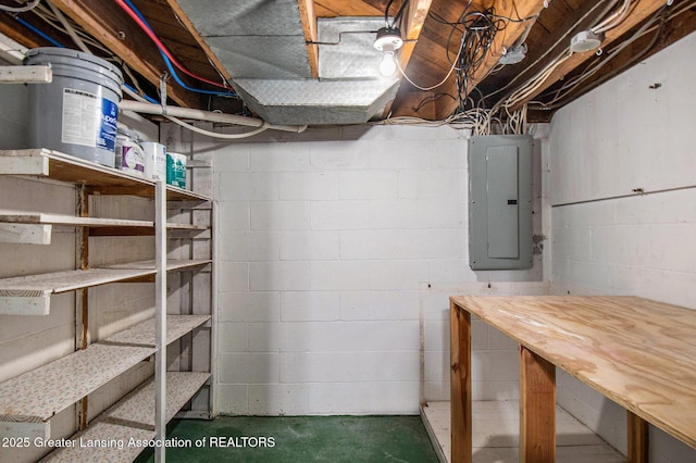 2119 Grant St, Lansing, MI 48910 - storage featuring electric panel
