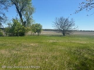 view of grassy yard with a view of rural / pastoral area