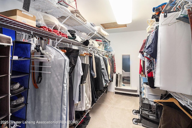 12197 W Greenfield Rd, Lansing, MI 48917 - walk in closet with carpet flooring