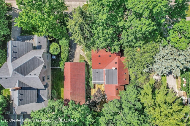 411 Jackson St, Grand Ledge, MI 48837 - view of property location