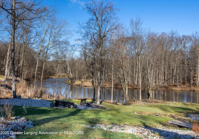 11500 Eden Trl, Eagle, MI 48822 - water view