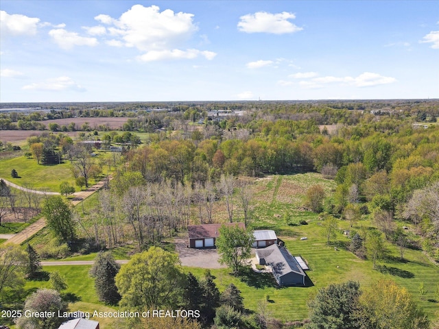 15426 S Lowell Rd, Lansing, MI 48906 - view from above of property