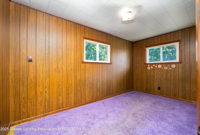 3316 Pickwick Pl, Lansing, MI 48917 - carpeted empty room featuring plenty of natural light and wood walls