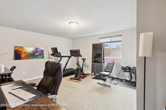 1123 Chesham Ln, Grand Ledge, MI 48837 - workout room featuring baseboards and carpet flooring