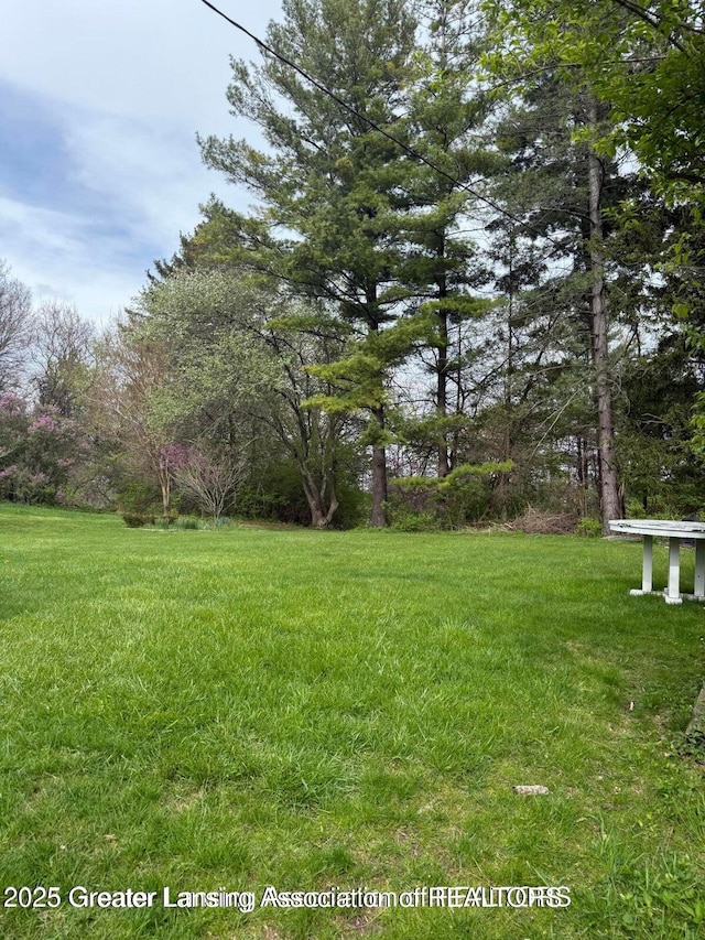 4794 Ardmore Ave, Okemos, MI 48864 - view of grassy yard