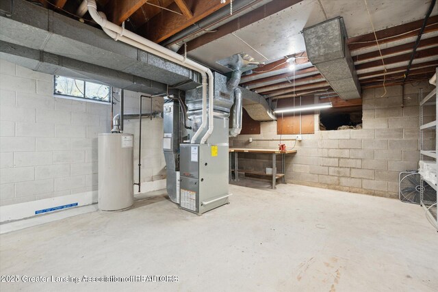 4794 Ardmore Ave, Okemos, MI 48864 - below grade area with water heater and heating unit