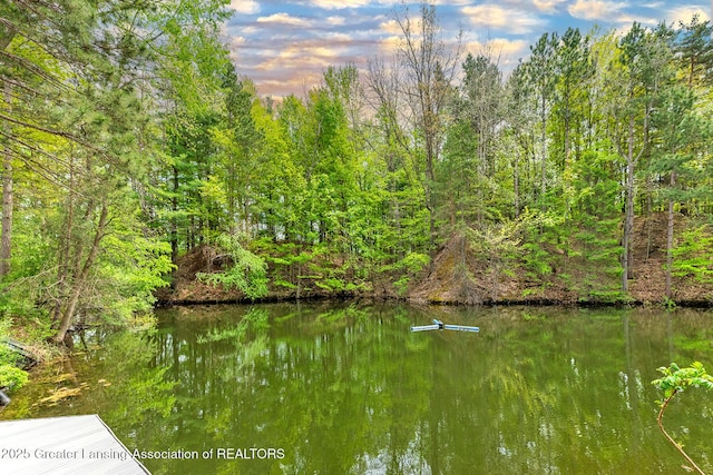 880 Holly Ct, Williamston, MI 48895
