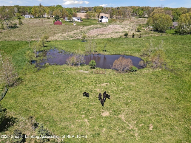 12898 Walker Rd, Leslie, MI 49251 - drone / aerial view of a large body of water