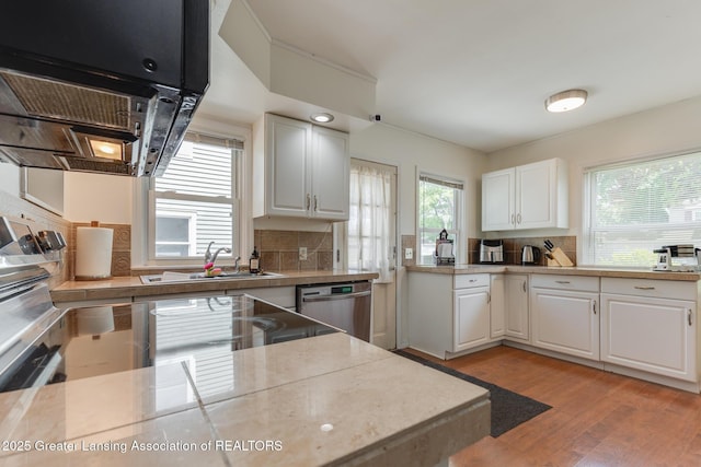 635 Division St, East Lansing, MI 48823 - kitchen featuring stainless steel dishwasher, a sink, tasteful backsplash, and white cabinetry