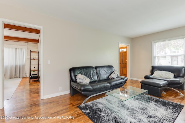 635 Division St, East Lansing, MI 48823 - living room featuring wood finished floors and baseboards
