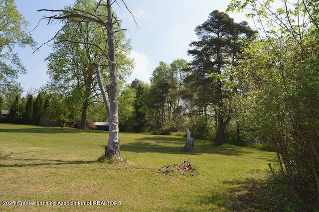 6157 W Stoll Rd, Lansing, MI 48906 - view of home's community featuring a lawn