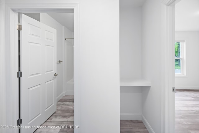 2107 Reo Rd, Lansing, MI 48910 - corridor featuring baseboards and wood finished floors