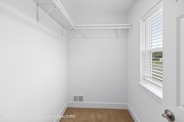 4205 Glenburne Blvd, Lansing, MI 48911 - walk in closet featuring carpet