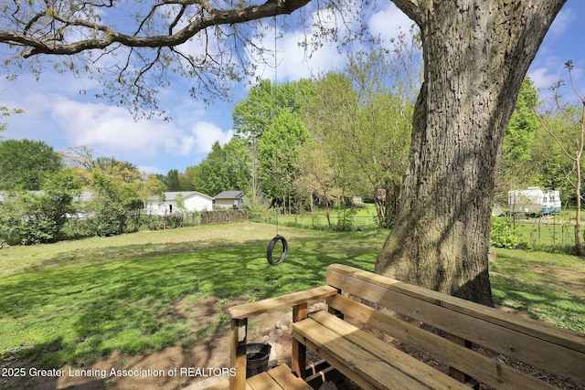 513 E Grand River Rd, Laingsburg, MI 48848 - view of yard