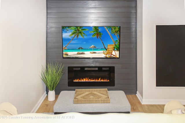 14275 Webster Rd, Bath, MI 48808 - detailed view of a large fireplace, baseboards, and wood finished floors
