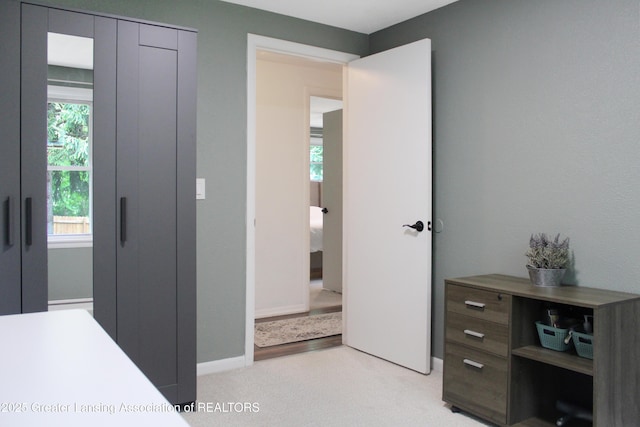 14275 Webster Rd, Bath, MI 48808 - bedroom with light colored carpet and baseboards