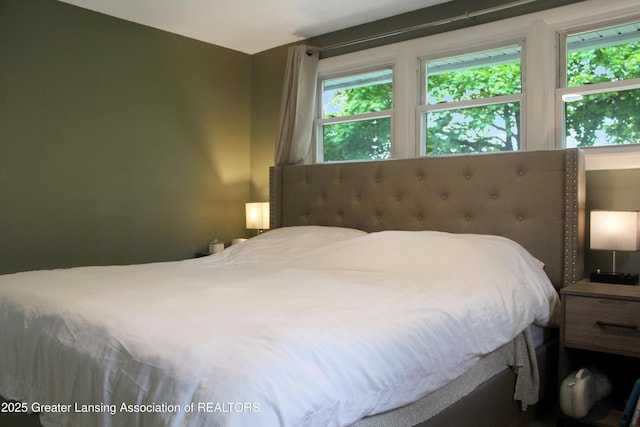 14275 Webster Rd, Bath, MI 48808 - bedroom featuring multiple windows