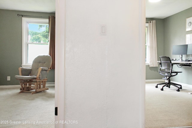14275 Webster Rd, Bath, MI 48808 - carpeted office featuring baseboards