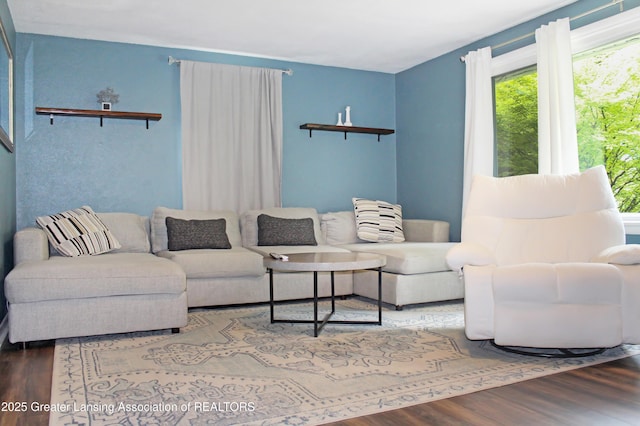 14275 Webster Rd, Bath, MI 48808 - living area featuring wood finished floors