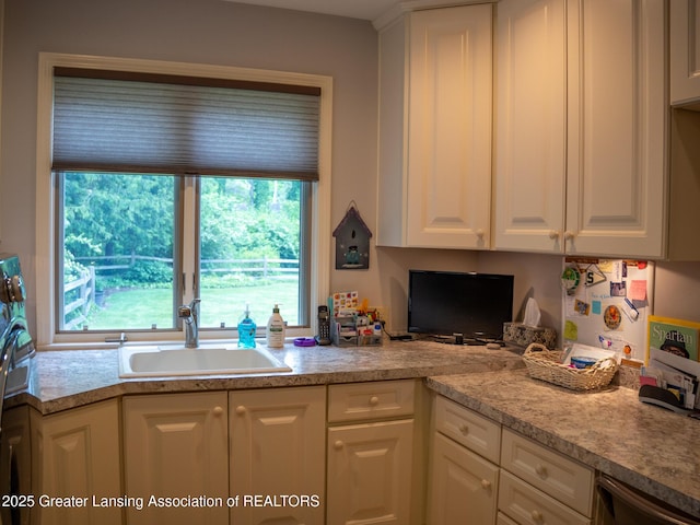 1561 Roseland Ave, East Lansing, MI 48823 - kitchen with a sink, plenty of natural light, and white cabinets