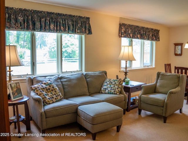 1561 Roseland Ave, East Lansing, MI 48823 - living area featuring healthy amount of natural light and carpet floors