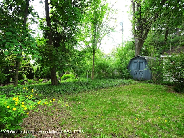 341 W Saginaw St, East Lansing, MI 48823 - view of yard