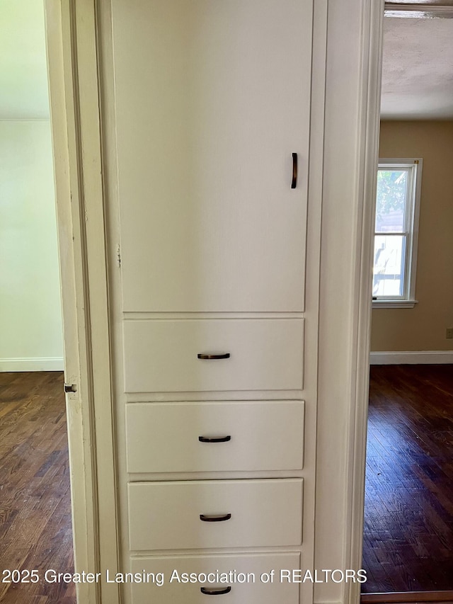 341 W Saginaw St, East Lansing, MI 48823 - view of closet