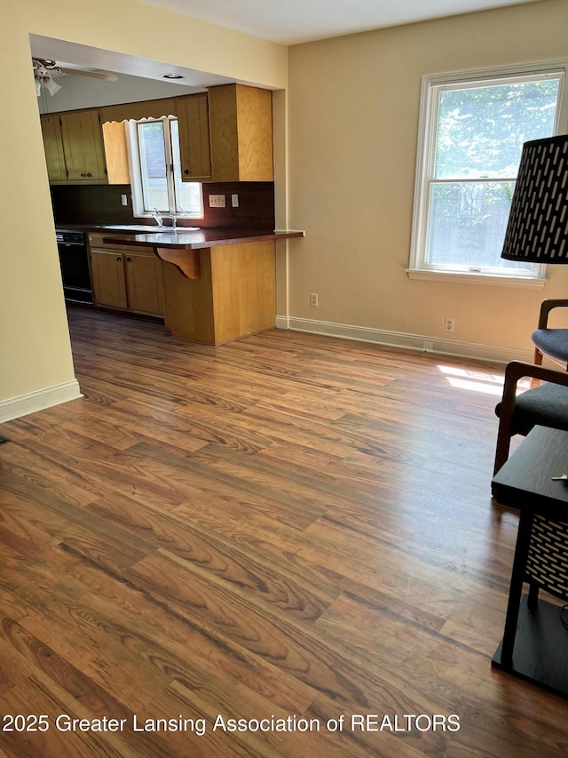 341 W Saginaw St, East Lansing, MI 48823 - kitchen featuring dark wood-type flooring, a peninsula, dark countertops, and baseboards