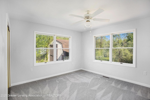 7319 E 5th Point Highway, Eaton Rapids, MI 48827 - spare room with plenty of natural light, baseboards, and carpet floors