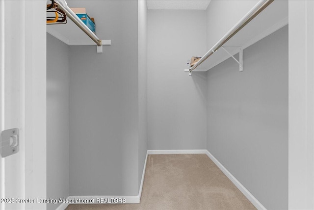 3816 Kiskadee Dr, East Lansing, MI 48823 - walk in closet featuring carpet