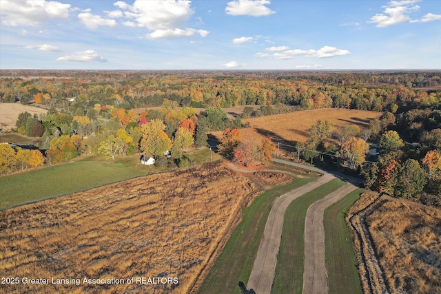 0 Herbison Rd, Eagle, MI 48822