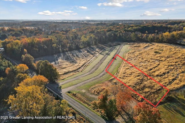 0 Herbison Rd, Eagle, MI 48822