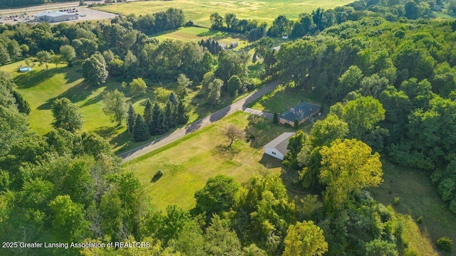 15988 Comdon Rd, Albion, MI 49224 - aerial overview of property's location with rural landscape