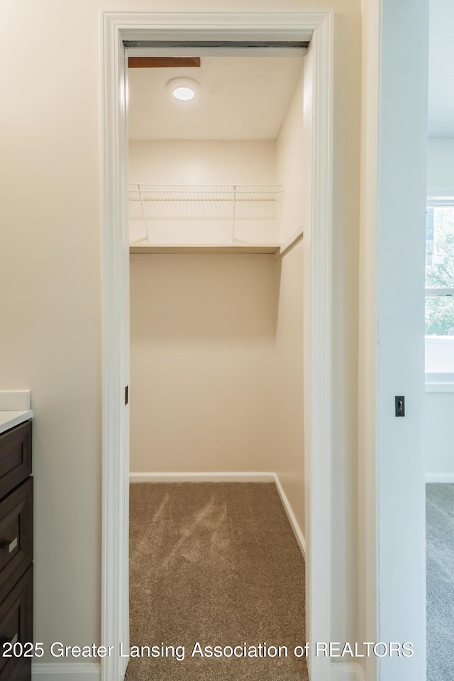 4918 Westhaven Blvd, Lansing, MI 48917 - walk in closet featuring carpet flooring