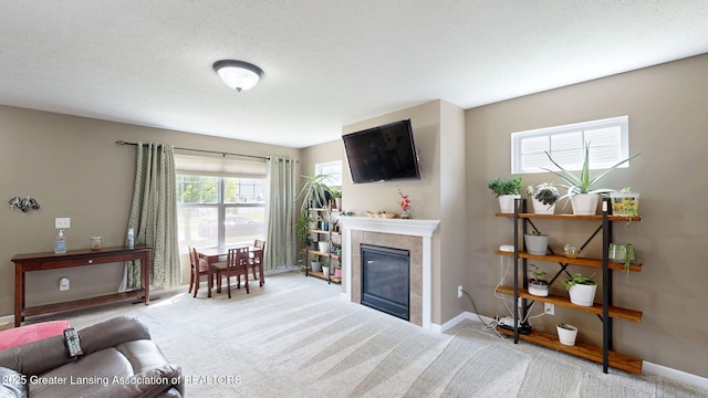 1055 Oakwood Dr, Dewitt, MI 48820 - carpeted living room with a tiled fireplace and baseboards