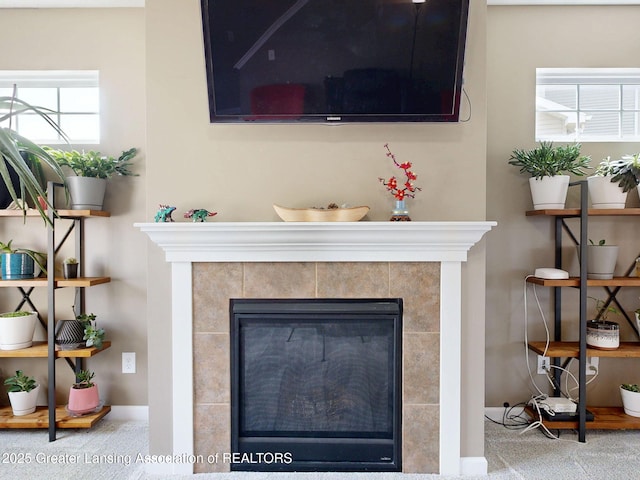 1055 Oakwood Dr, Dewitt, MI 48820 - detailed view of carpet and a tile fireplace