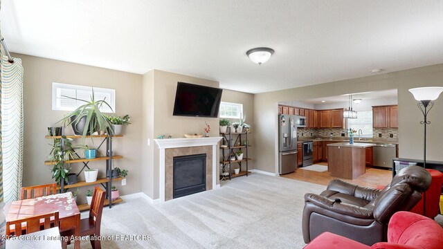 1055 Oakwood Dr, Dewitt, MI 48820 - living room with plenty of natural light, a fireplace, and baseboards