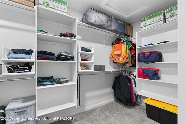 5651 Copper Creek Dr, Haslett, MI 48840 - spacious closet with attic access and carpet floors