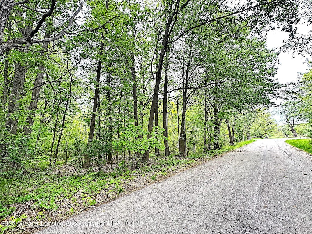0 Wirt Rd, Mason, MI 48854