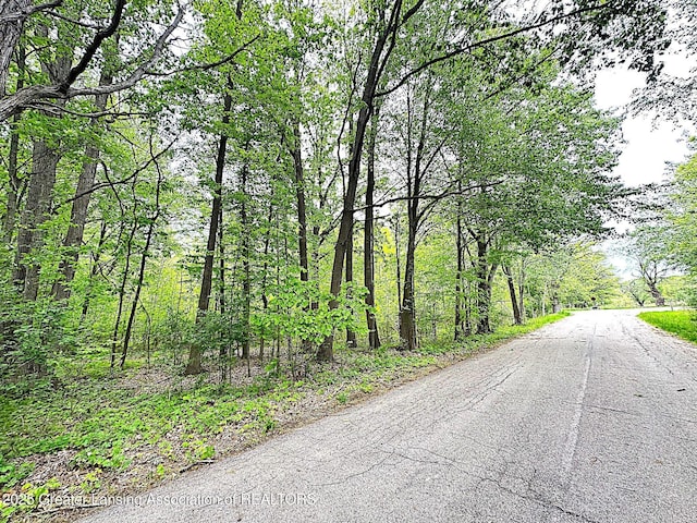 0 Wirt Rd, Mason, MI 48854