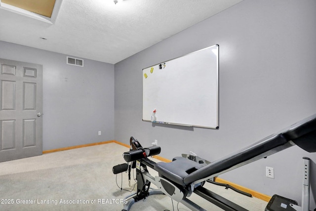 3650 Observatory Ln, Holt, MI 48842 - workout area featuring carpet flooring, baseboards, and a textured ceiling