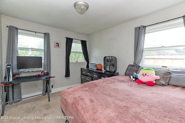 2531 Dillingham Ave, Lansing, MI 48906 - bedroom featuring light carpet and baseboards